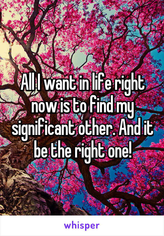 All I want in life right now is to find my significant other. And it be the right one!