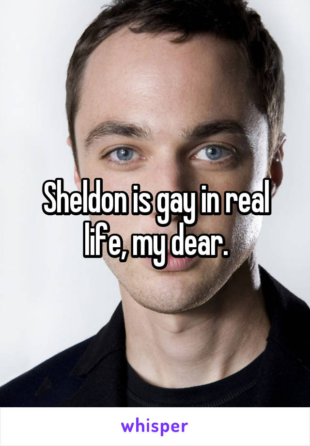 Sheldon is gay in real life, my dear.