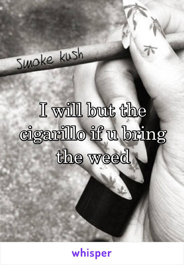 I will but the cigarillo if u bring the weed