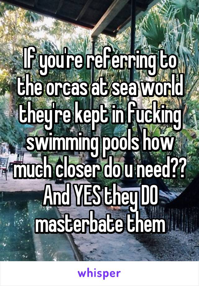 If you're referring to the orcas at sea world they're kept in fucking swimming pools how much closer do u need?? And YES they DO masterbate them