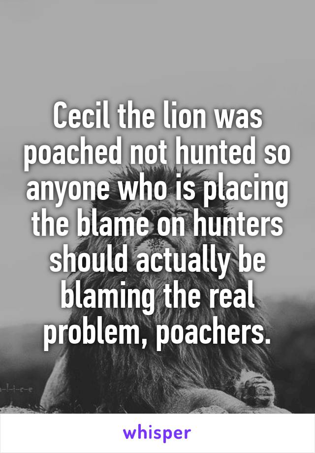 Cecil the lion was poached not hunted so anyone who is placing the blame on hunters should actually be blaming the real problem, poachers.