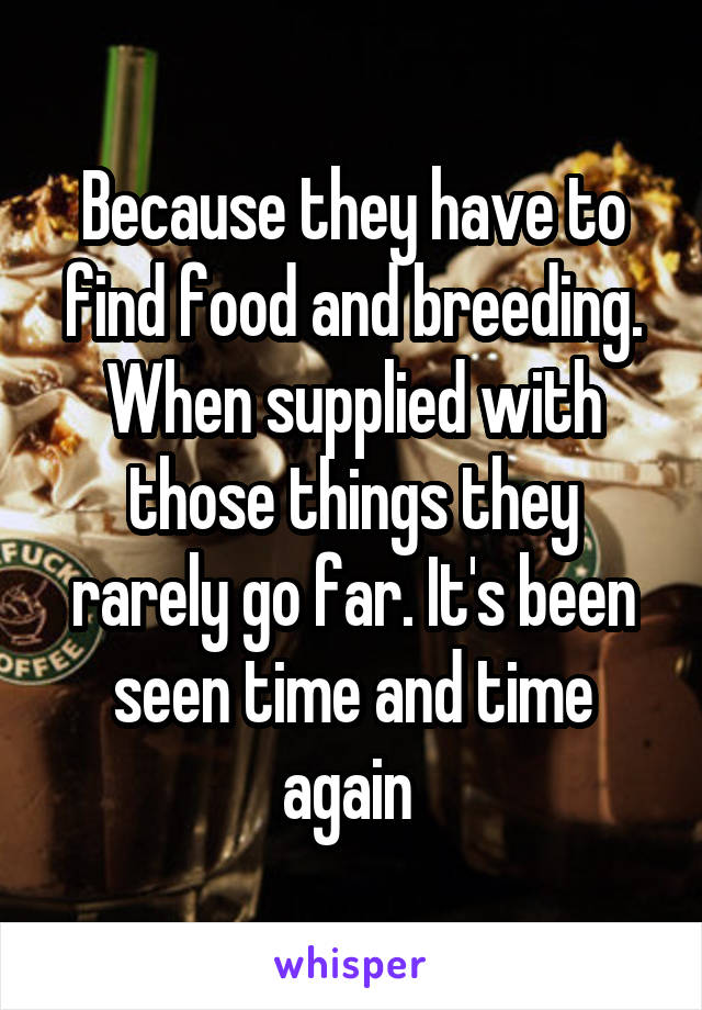 Because they have to find food and breeding. When supplied with those things they rarely go far. It's been seen time and time again 