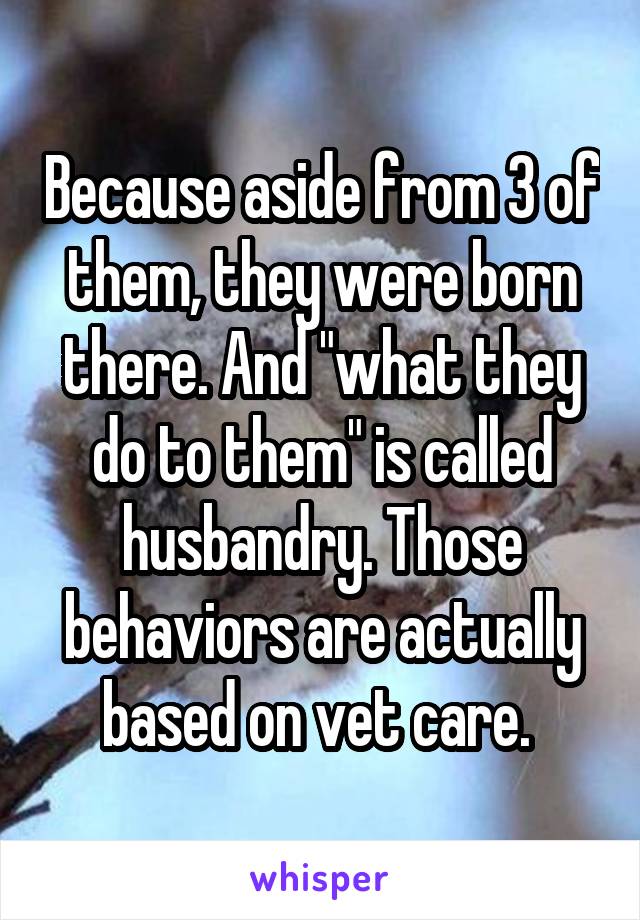 Because aside from 3 of them, they were born there. And "what they do to them" is called husbandry. Those behaviors are actually based on vet care. 