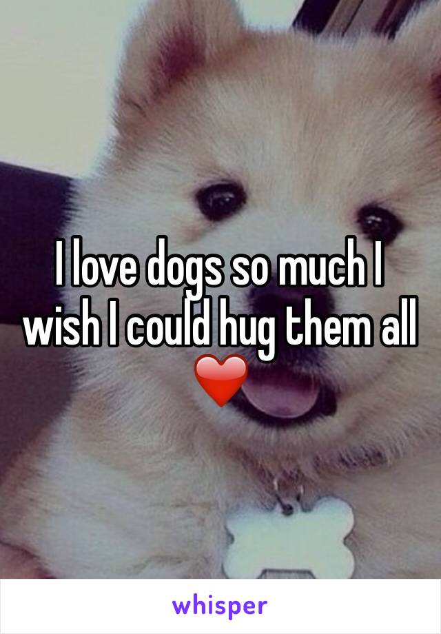 I love dogs so much I wish I could hug them all ❤️