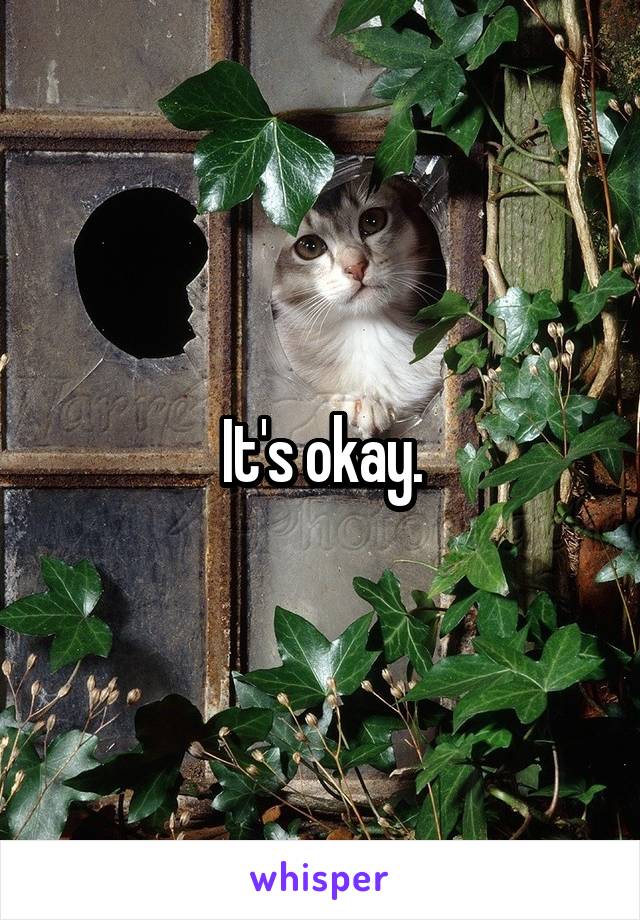 It's okay.