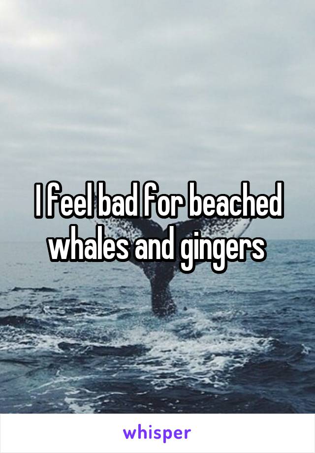 I feel bad for beached whales and gingers 