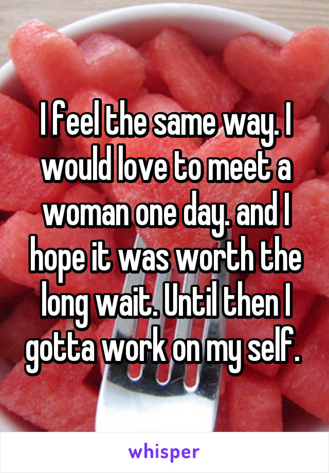 I feel the same way. I would love to meet a woman one day. and I hope it was worth the long wait. Until then I gotta work on my self. 