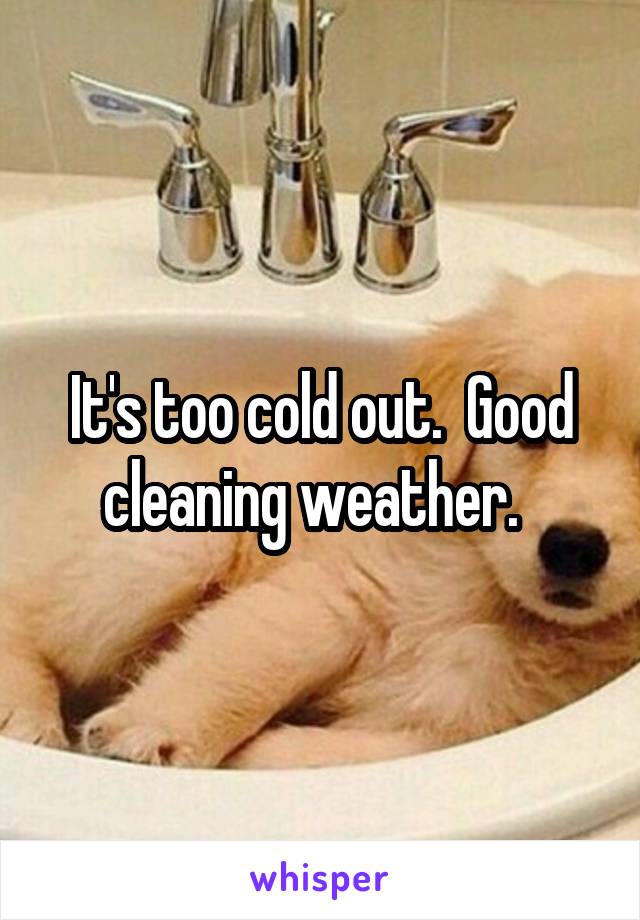 It's too cold out.  Good cleaning weather.  