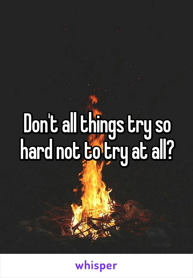 Don't all things try so hard not to try at all?