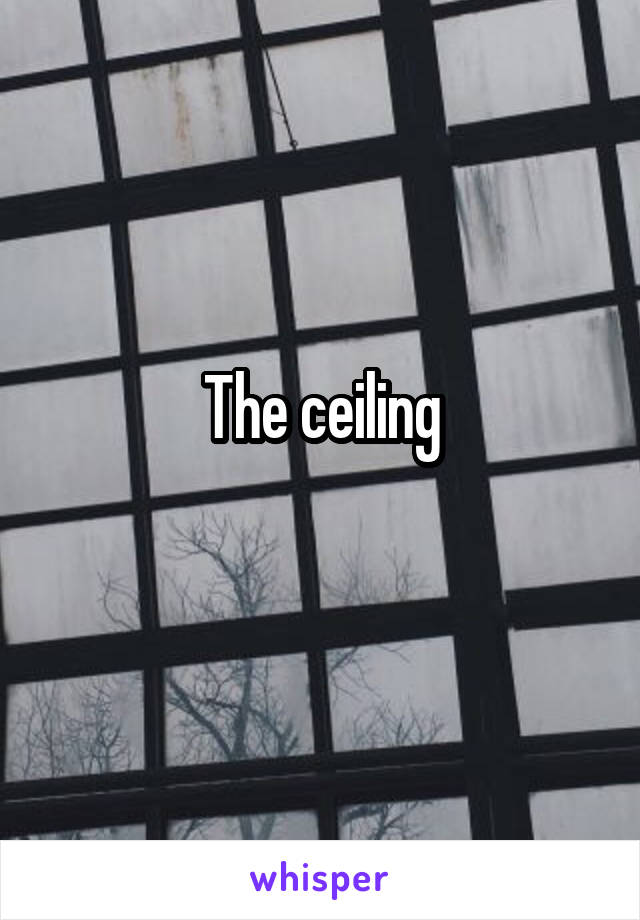 The ceiling
