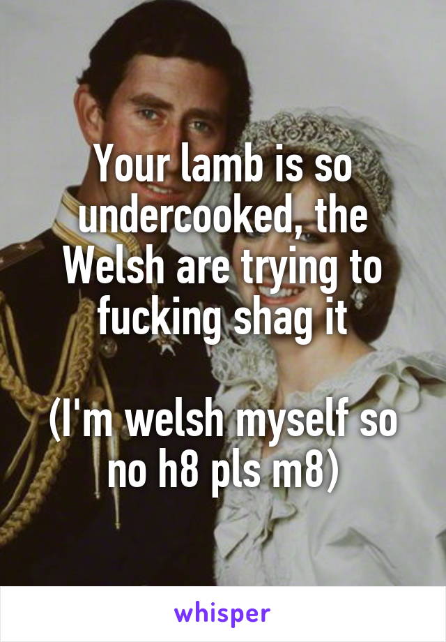 Your lamb is so undercooked, the Welsh are trying to fucking shag it

(I'm welsh myself so no h8 pls m8)