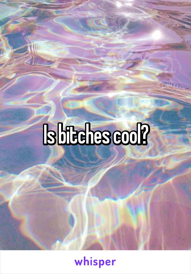 Is bitches cool?