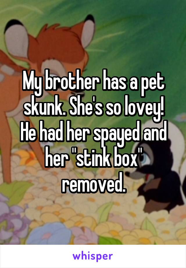 My brother has a pet skunk. She's so lovey!
He had her spayed and her "stink box" removed.