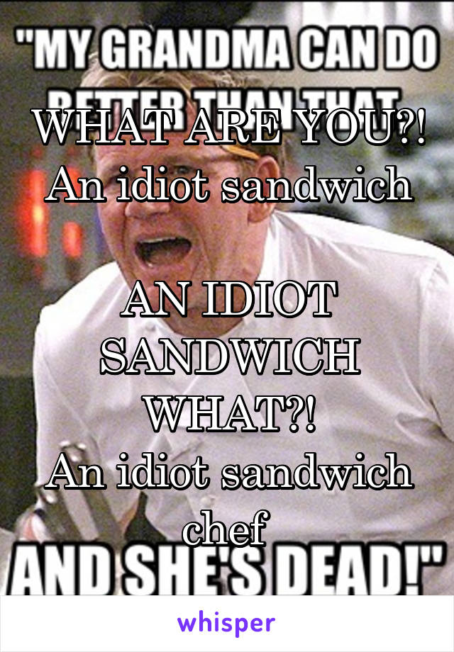 WHAT ARE YOU?!
An idiot sandwich 
AN IDIOT SANDWICH WHAT?!
An idiot sandwich chef 