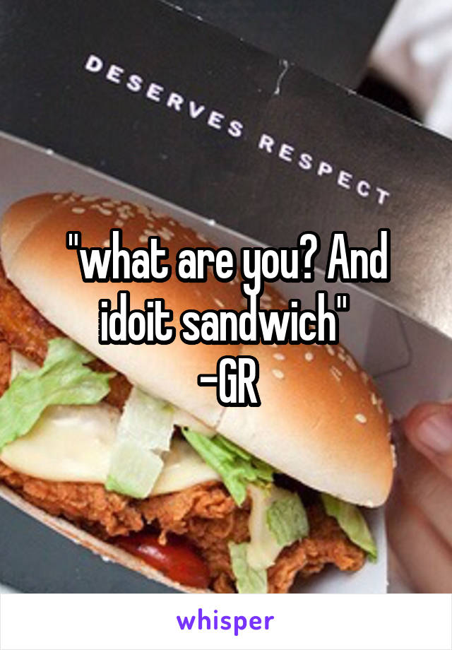 "what are you? And idoit sandwich" 
-GR