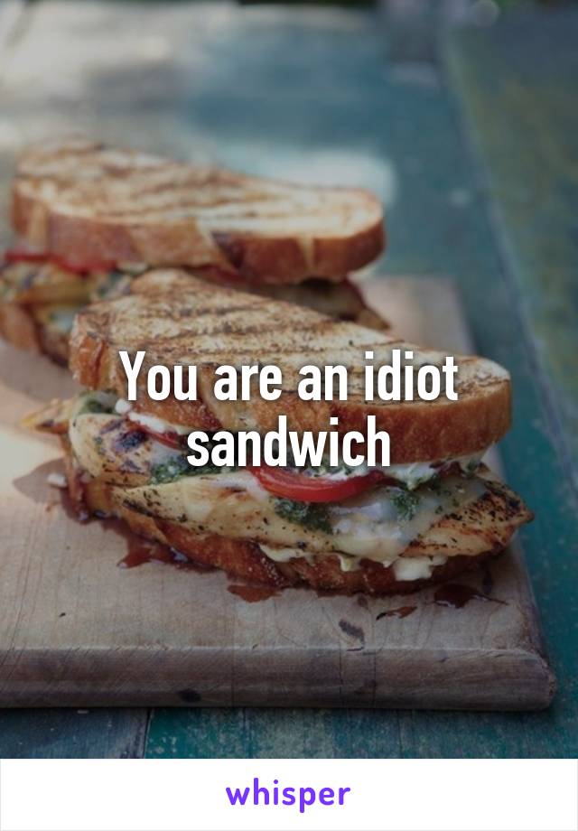 You are an idiot sandwich