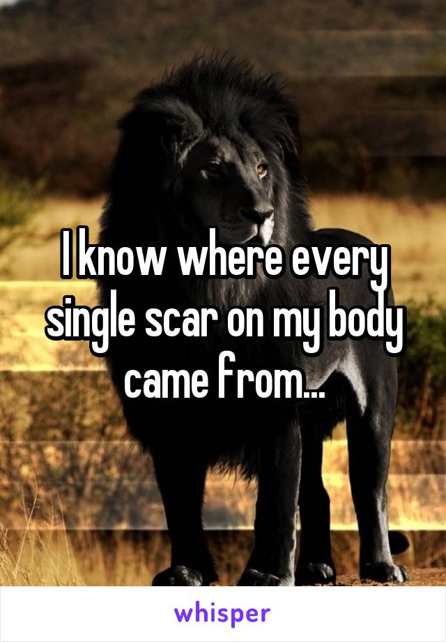 I know where every single scar on my body came from...