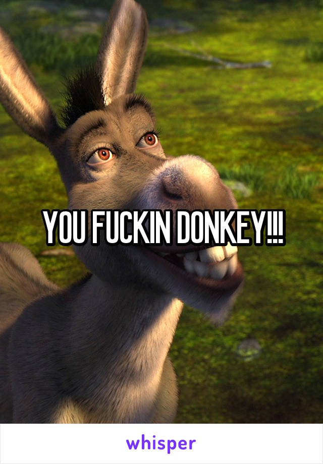 YOU FUCKIN DONKEY!!!