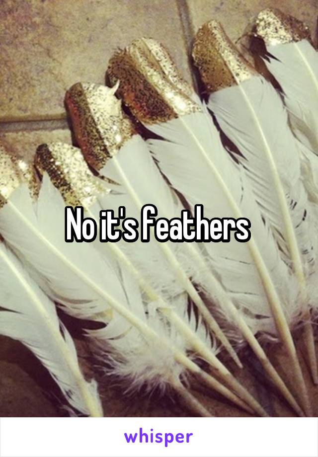 No it's feathers 