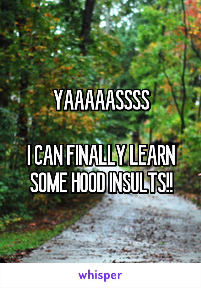 YAAAAASSSS

I CAN FINALLY LEARN SOME HOOD INSULTS!!