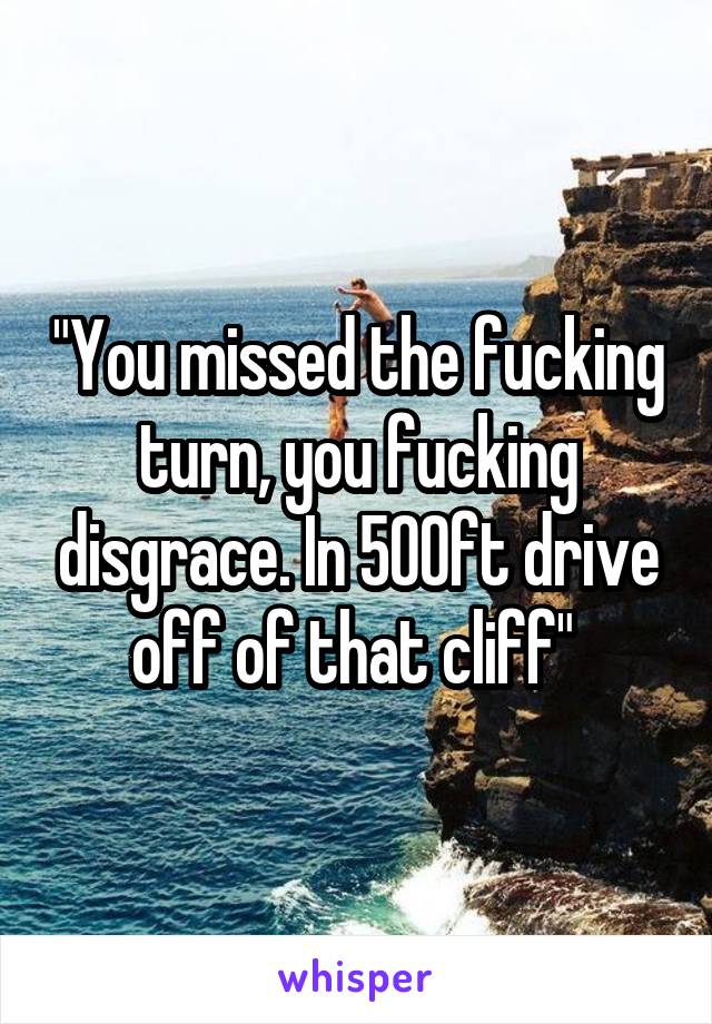 "You missed the fucking turn, you fucking disgrace. In 500ft drive off of that cliff" 