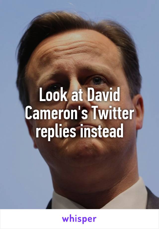 Look at David Cameron's Twitter replies instead