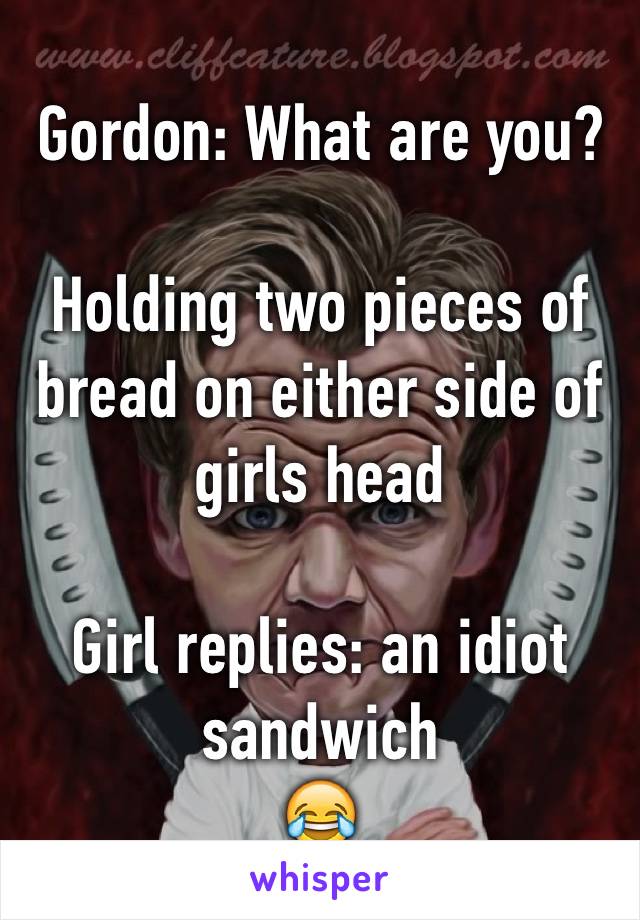 Gordon: What are you?

Holding two pieces of bread on either side of girls head

Girl replies: an idiot sandwich 
😂