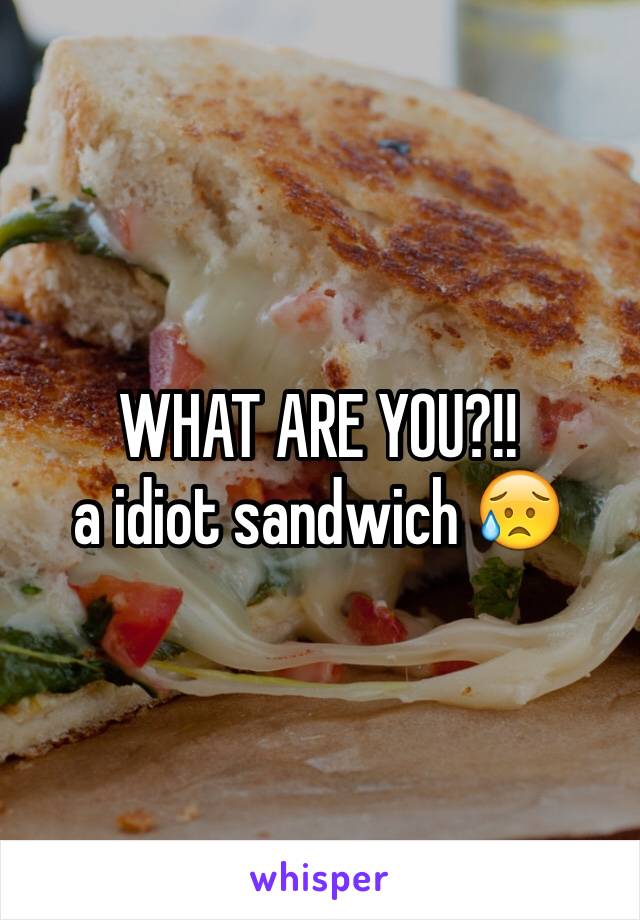 WHAT ARE YOU?!!
a idiot sandwich 😥