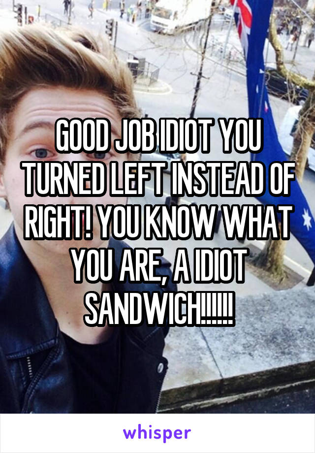 GOOD JOB IDIOT YOU TURNED LEFT INSTEAD OF RIGHT! YOU KNOW WHAT YOU ARE, A IDIOT SANDWICH!!!!!!