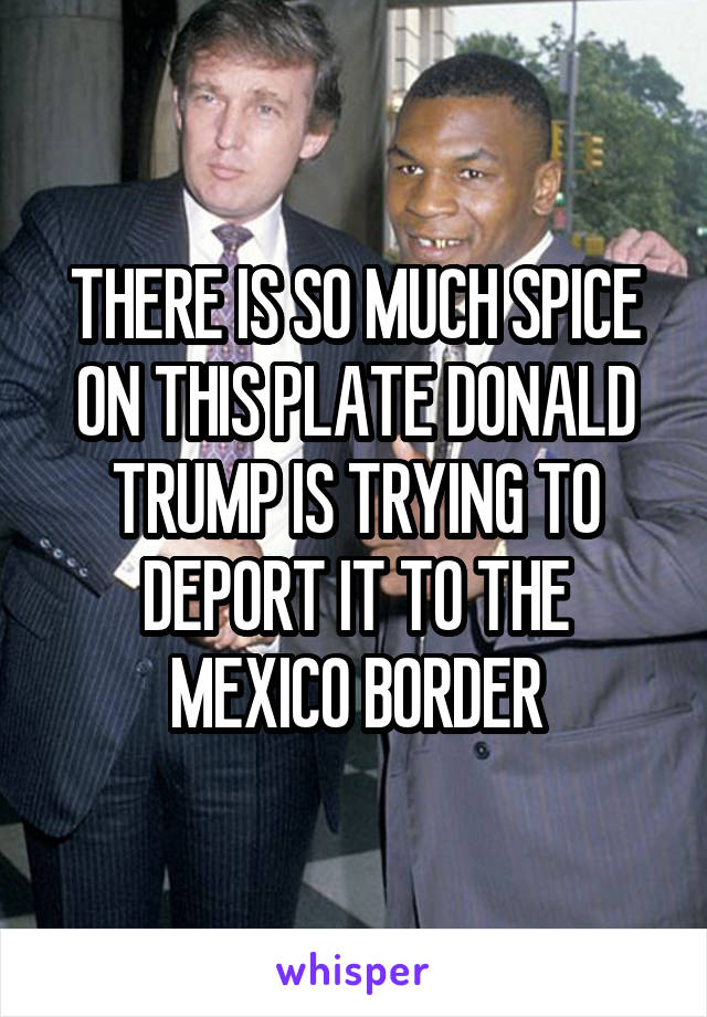 THERE IS SO MUCH SPICE ON THIS PLATE DONALD TRUMP IS TRYING TO DEPORT IT TO THE MEXICO BORDER