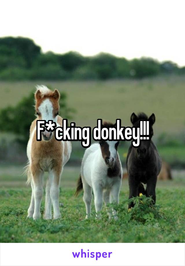 F*cking donkey!!!