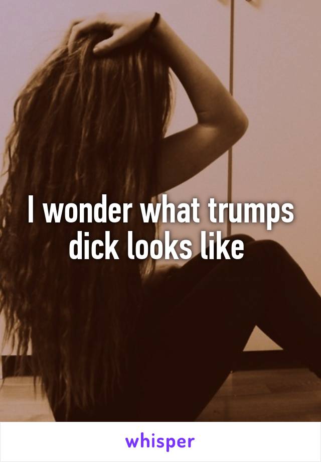 I wonder what trumps dick looks like 