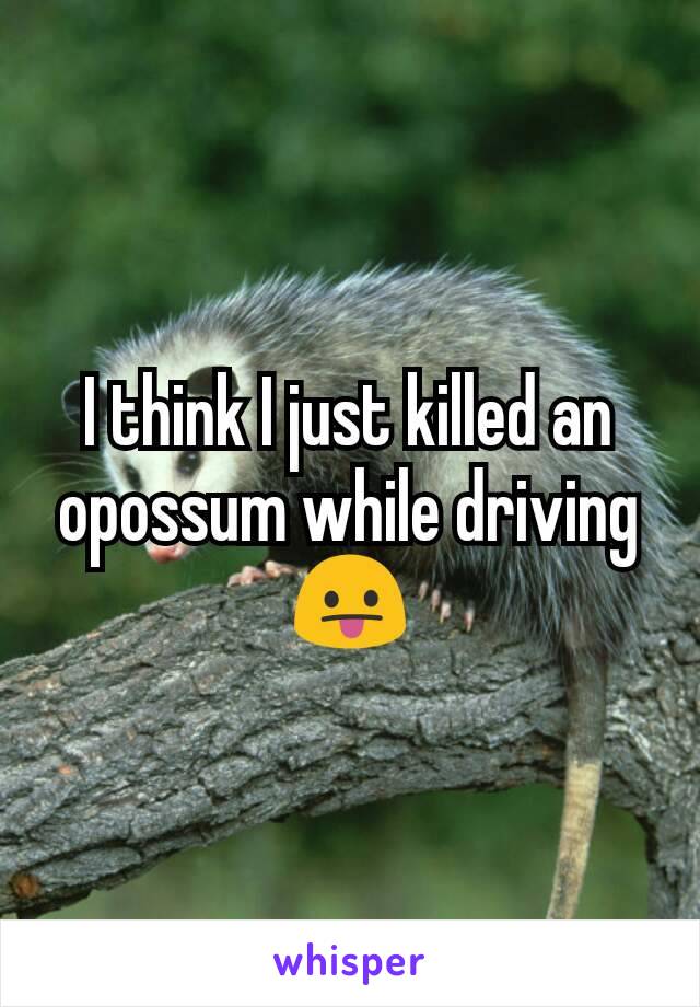 I think I just killed an opossum while driving 😛