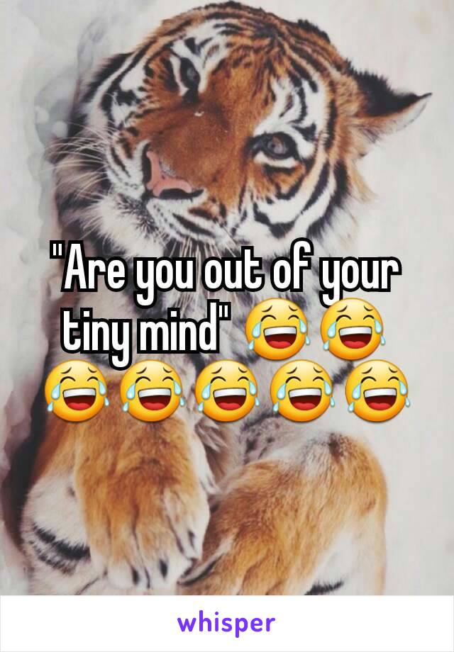 "Are you out of your tiny mind" 😂😂😂😂😂😂😂