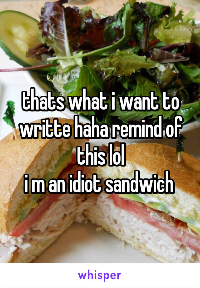 thats what i want to writte haha remind of this lol
i m an idiot sandwich 