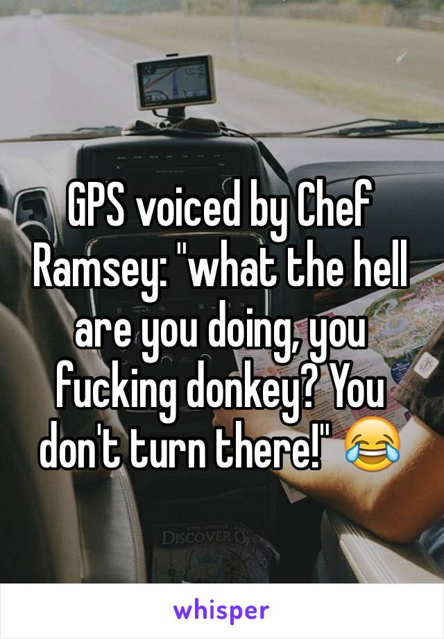 GPS voiced by Chef Ramsey: "what the hell are you doing, you fucking donkey? You don't turn there!" 😂