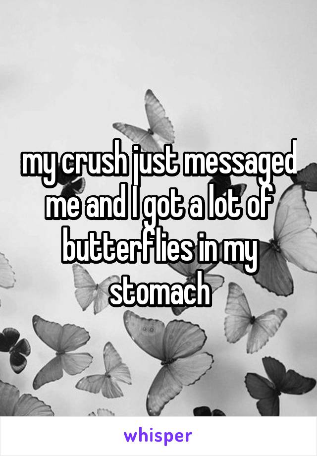 my crush just messaged me and I got a lot of butterflies in my stomach