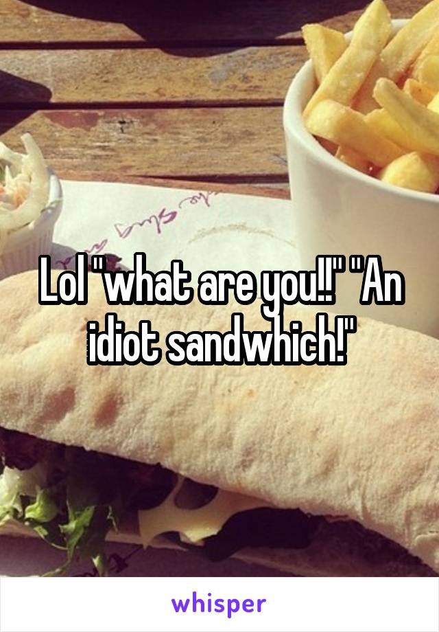 Lol "what are you!!" "An idiot sandwhich!"