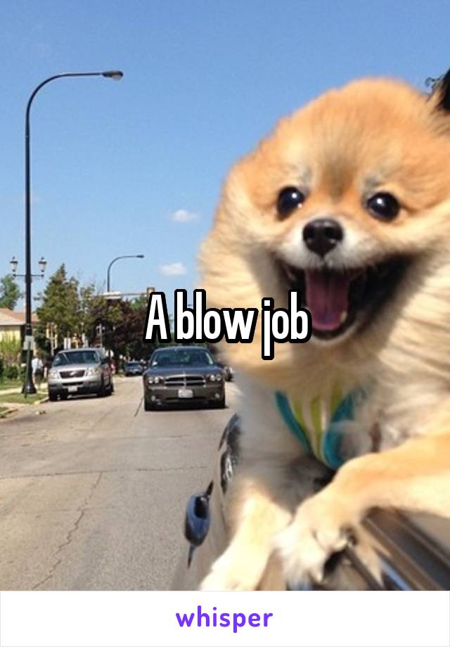 A blow job