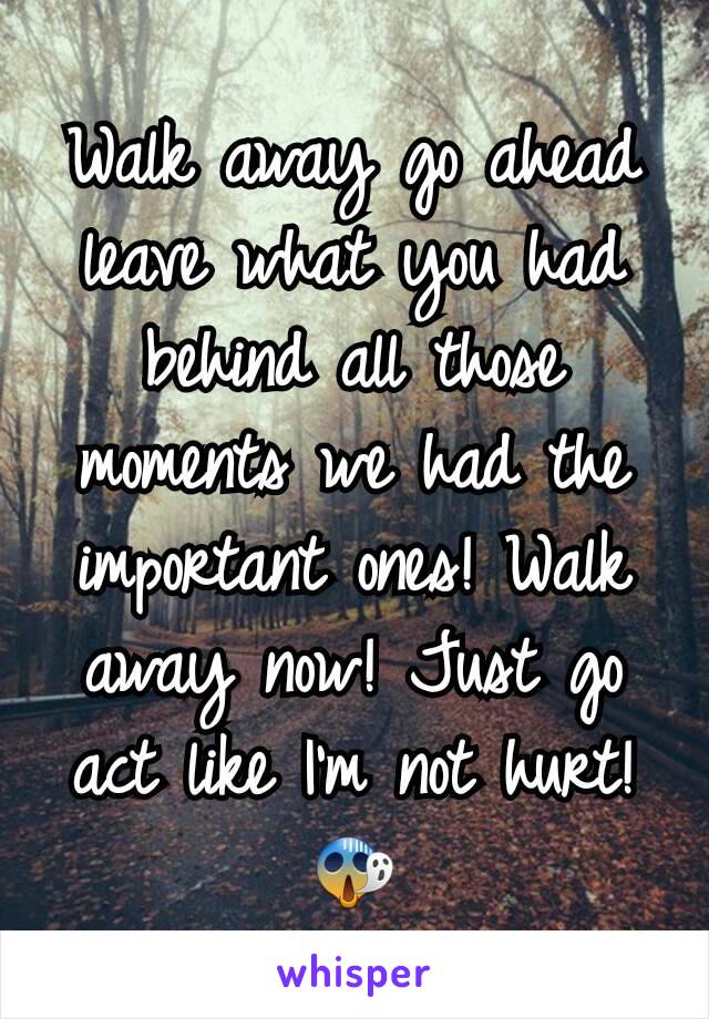 Walk away go ahead leave what you had behind all those moments we had the important ones! Walk away now! Just go act like I'm not hurt! 😱