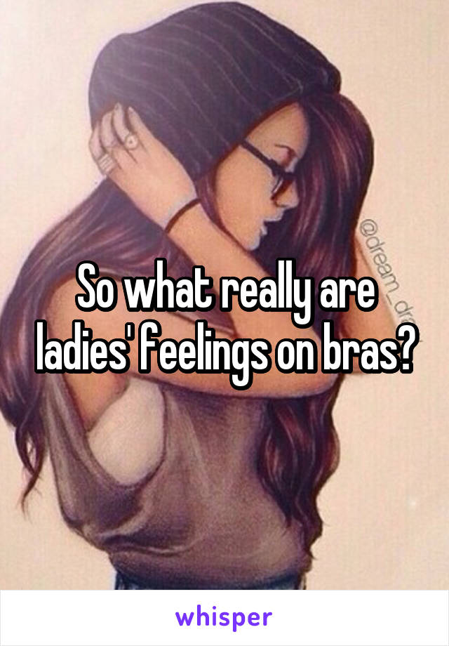 So what really are ladies' feelings on bras?