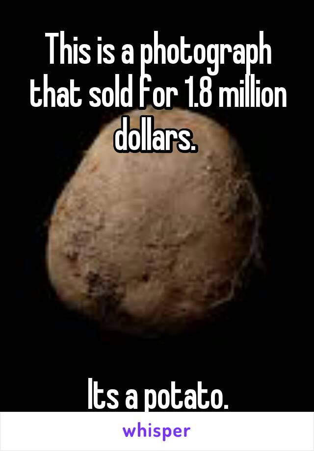 This is a photograph that sold for 1.8 million dollars. 





Its a potato.