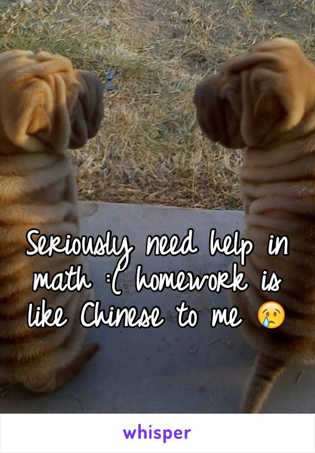 Seriously need help in math :( homework is like Chinese to me 😢