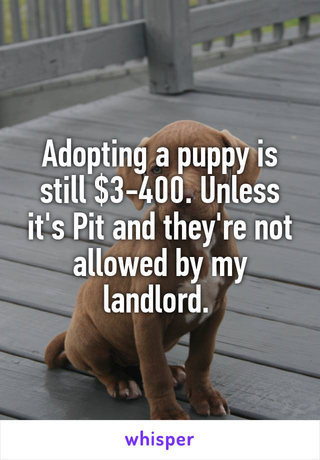 Adopting a puppy is still $3-400. Unless it's Pit and they're not allowed by my landlord. 