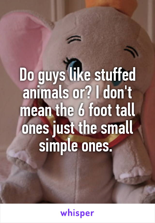 Do guys like stuffed animals or? I don't mean the 6 foot tall ones just the small simple ones. 