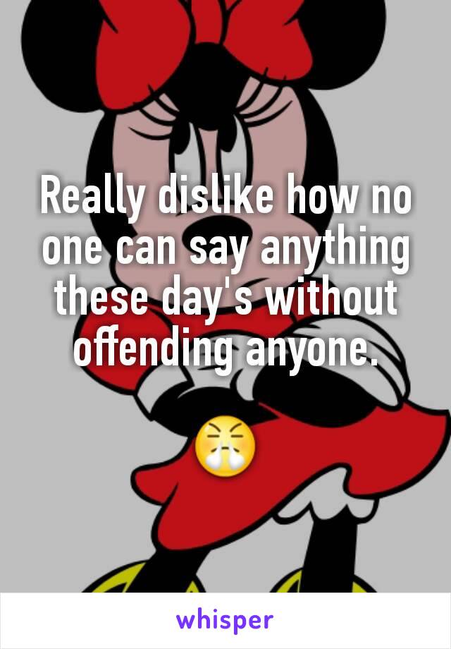 Really dislike how no one can say anything these day's without offending anyone.

😤