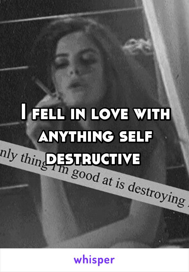 I fell in love with anything self destructive 