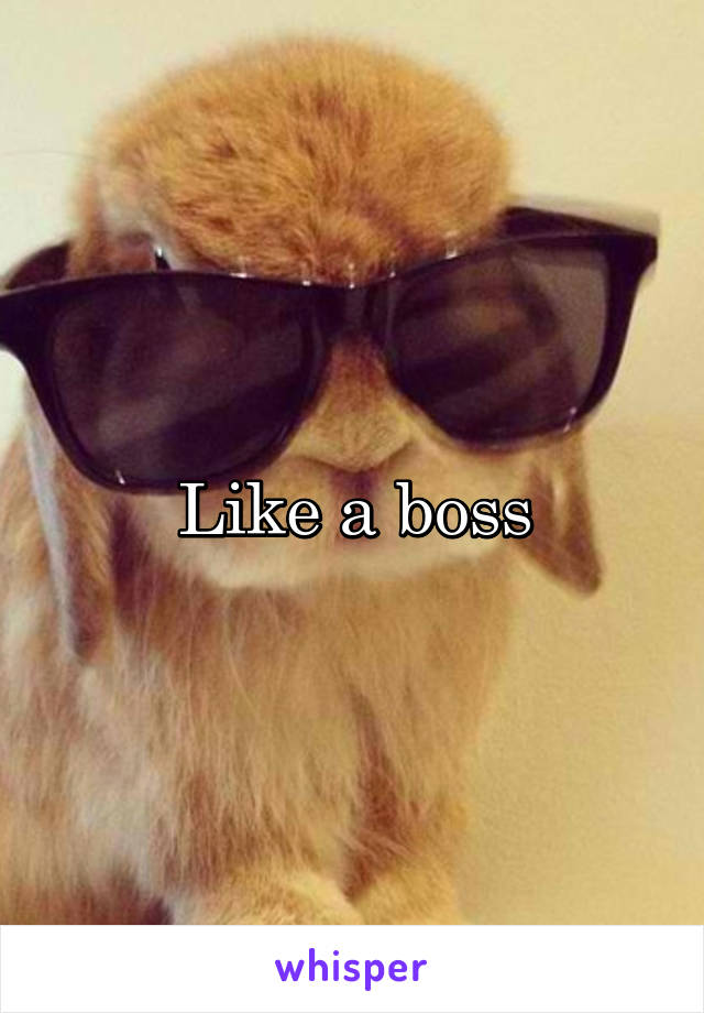 Like a boss