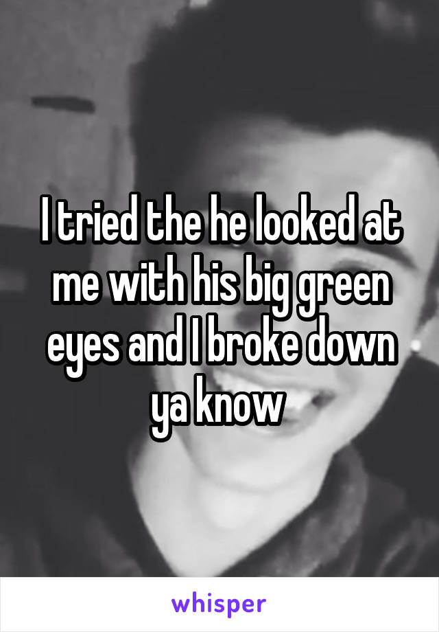 I tried the he looked at me with his big green eyes and I broke down ya know 