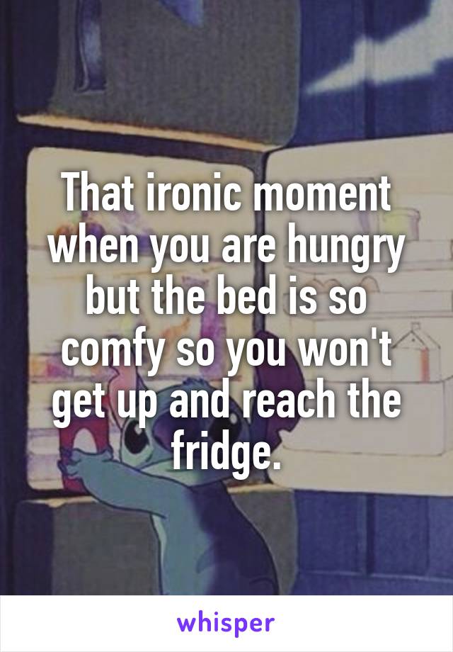 That ironic moment when you are hungry but the bed is so comfy so you won't get up and reach the fridge.